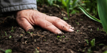 agricultura-familiar-vida-rural